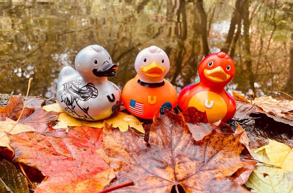 three colourful rubber ducks sitting on a pile of autumn leaves in a forest